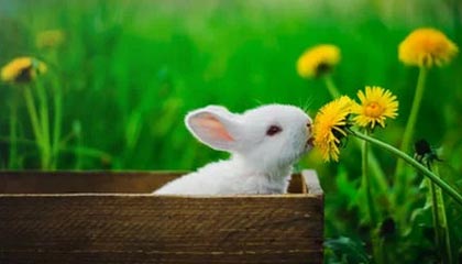 苏超南通队队长李贤成：十二连胜是我们的目标